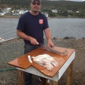 Catch of the day. My son learning how to fillet fish