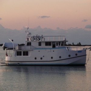 Pokey, before sun up at Great Sale Cay