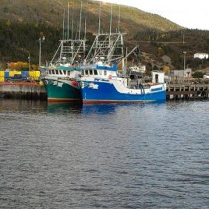 fishing boats