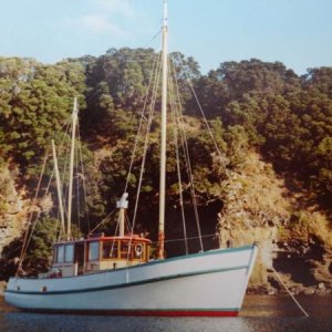 Hinewai at Mayor Island