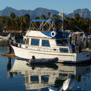 Alley Cat in Loreto seaport