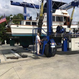 Hauling out for survey