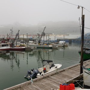 Ketchikan Fog