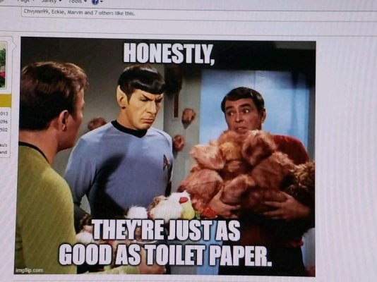 Toilet paper substitute.jpg