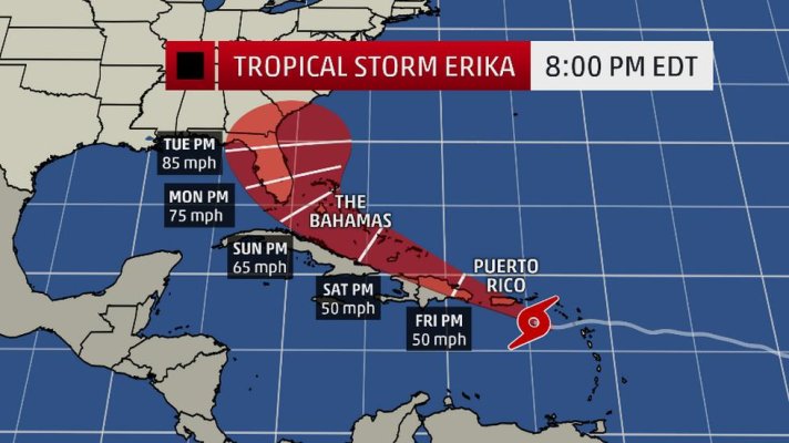 Erika.jpg