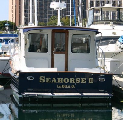 seahorse ll - 06.jpg