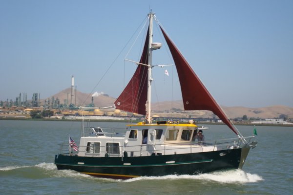 coot with sails.JPG