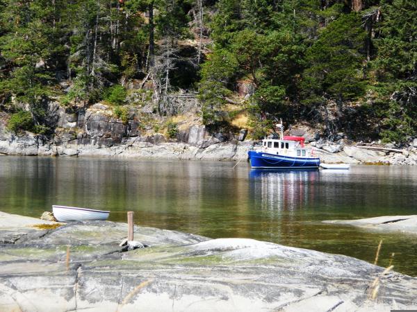 musket cove rock