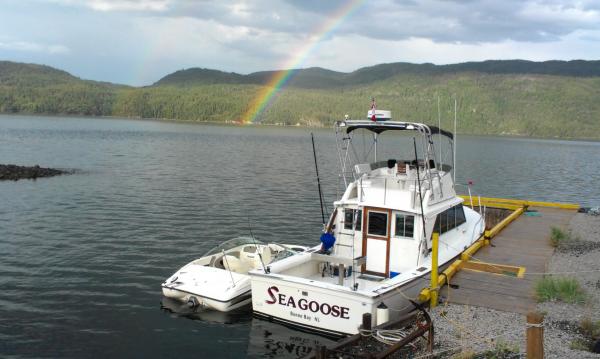 rainbow at dock