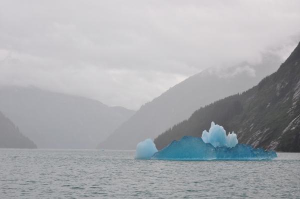 Tracy Arm Berg