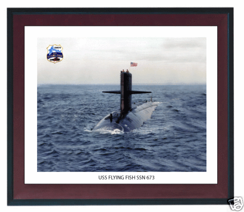 Uss Flying Fish print, with me driving as OOD