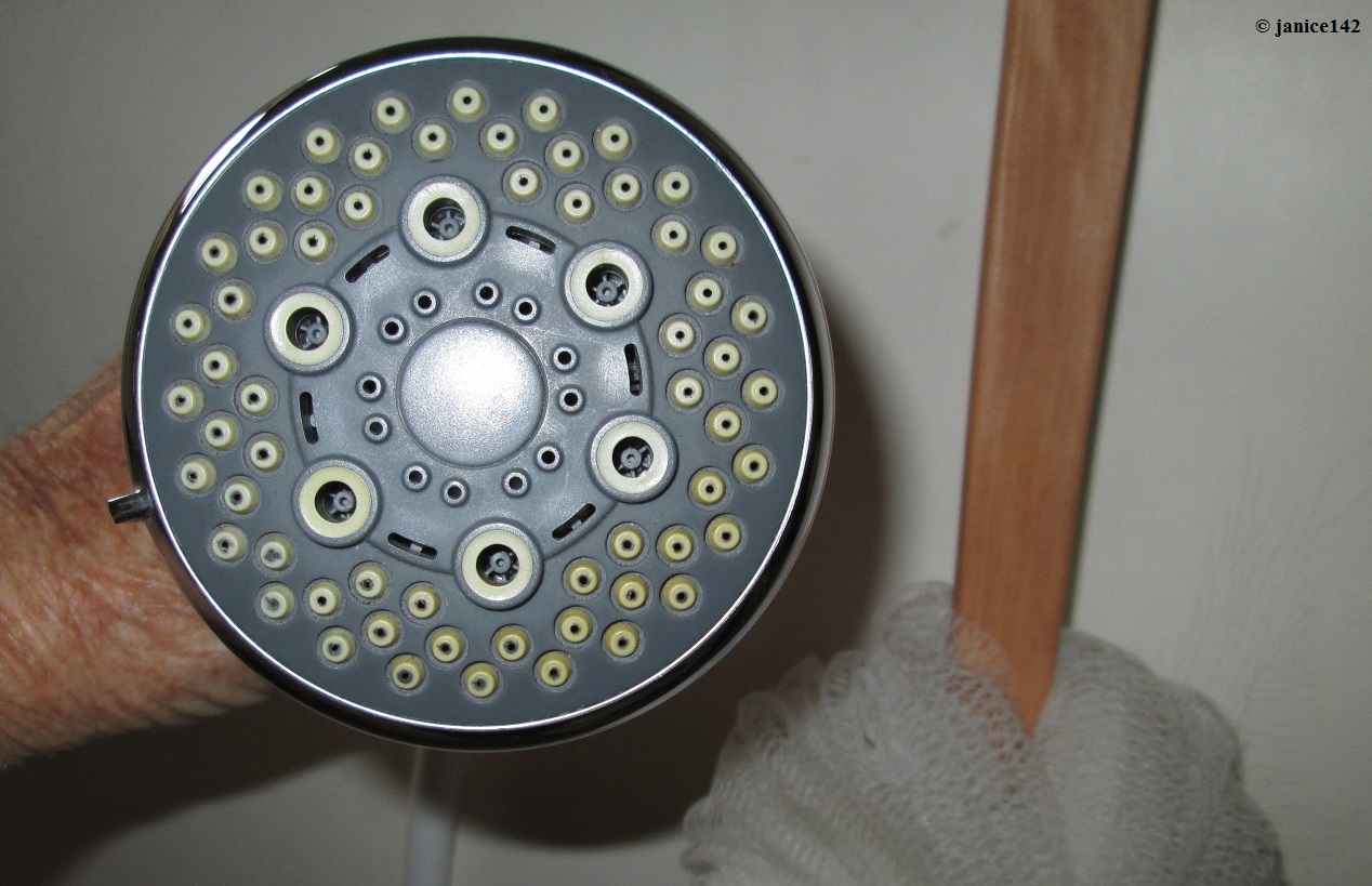 ShowerHead.jpg