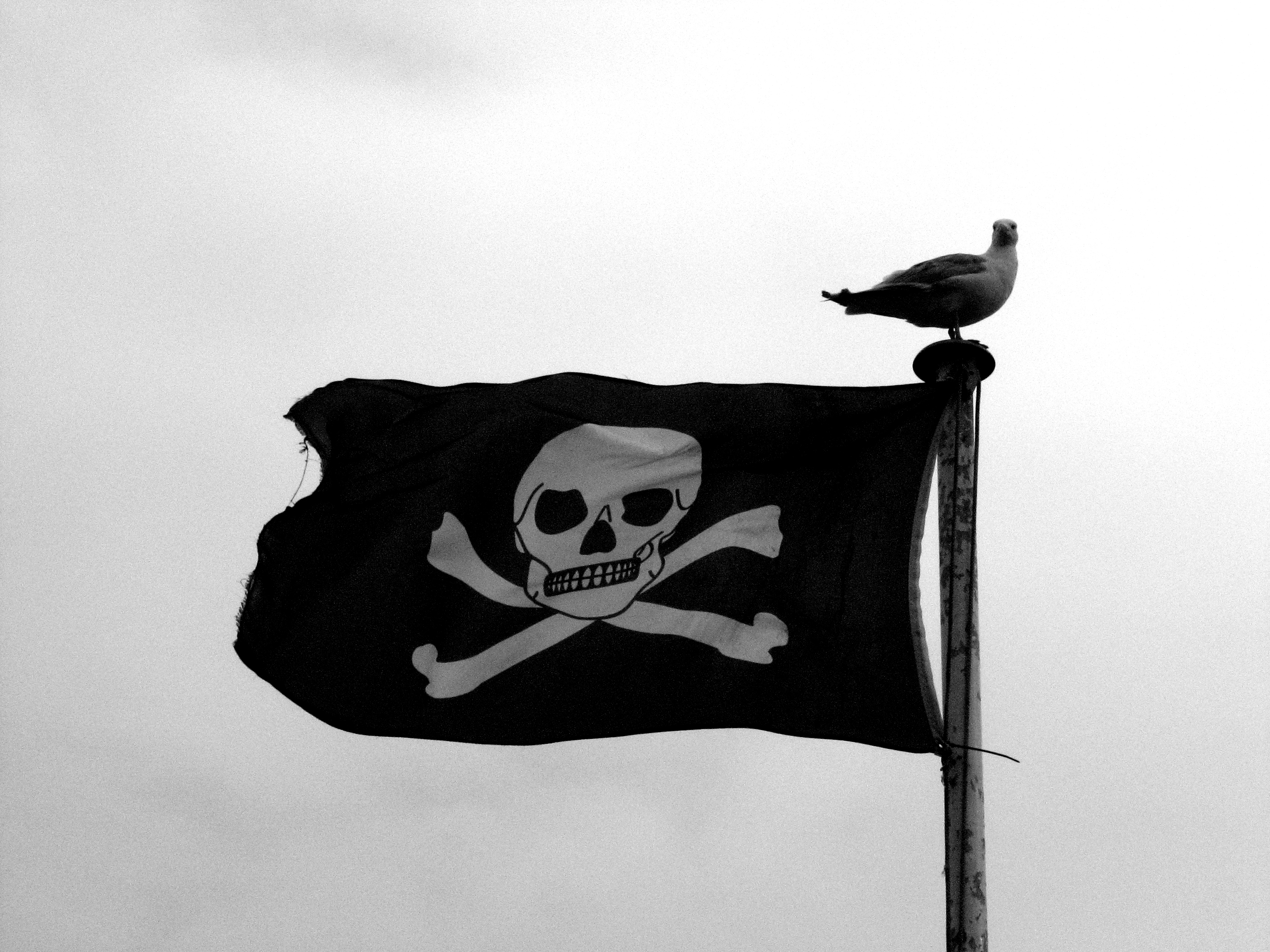 Pirate_Flag_(6084517123).jpg